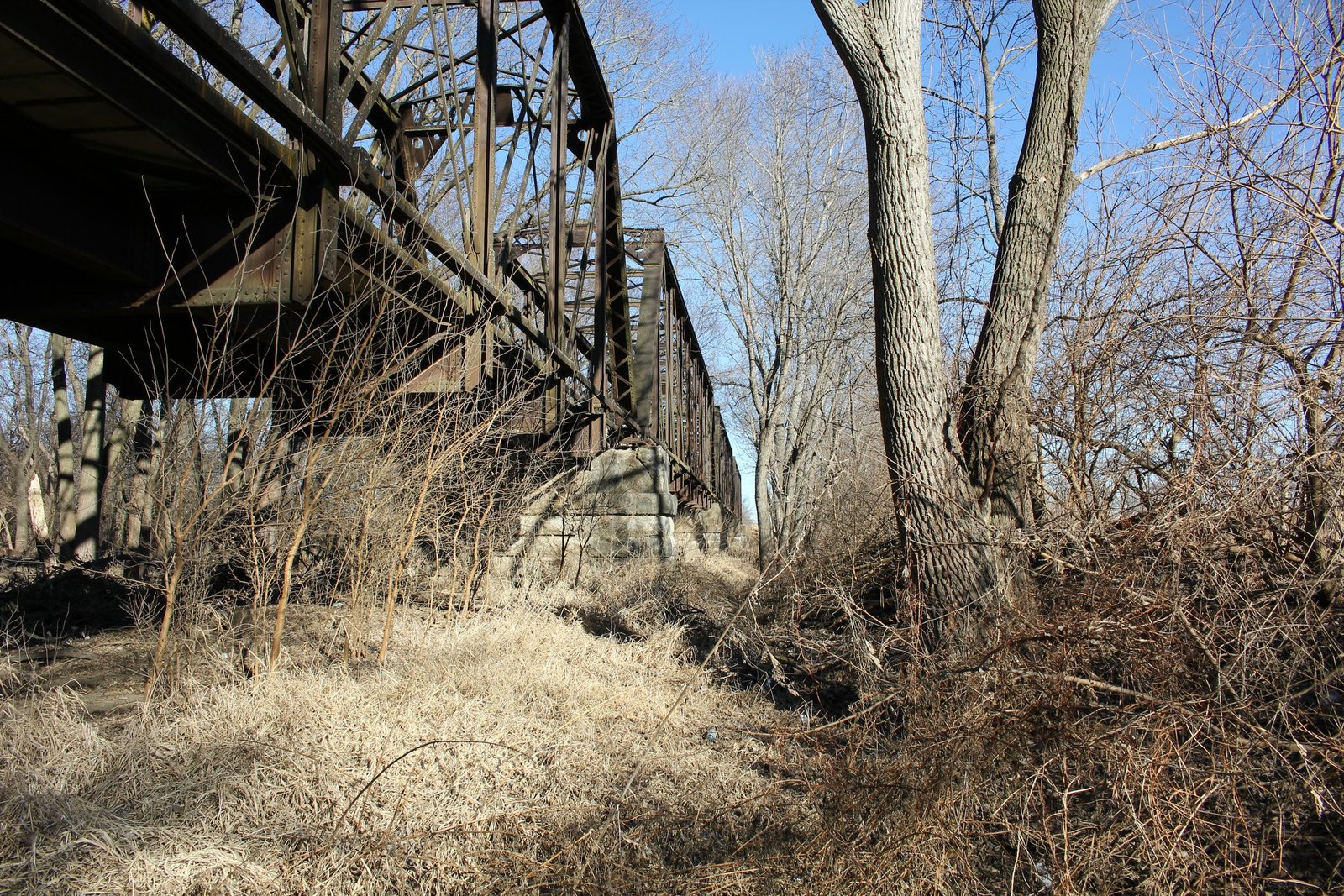 Looking east